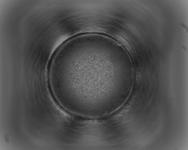 X0000093210990200710031417