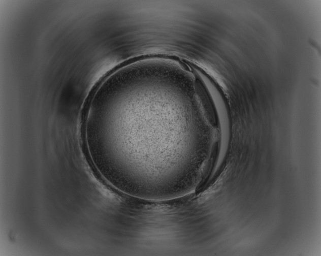 X0000093210991200710031417