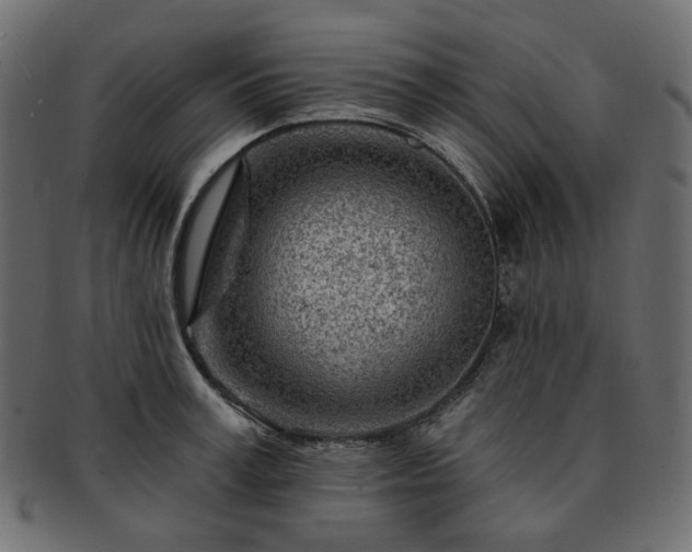 X0000093210995200710031417