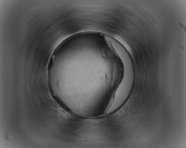 X0000093210996200710031417