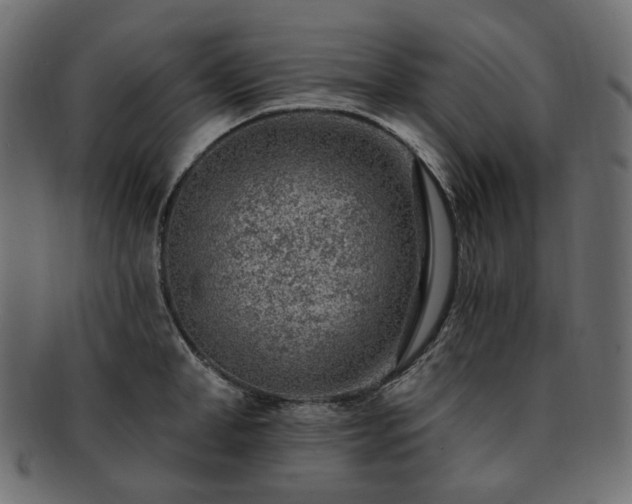 X0000093210998200710031417