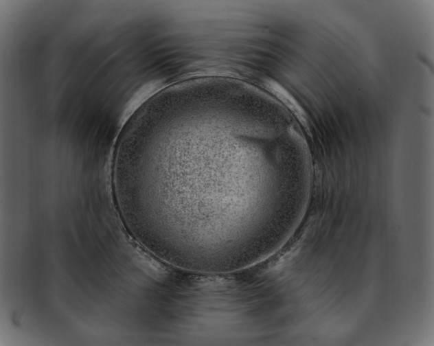 X0000093211002200710031417