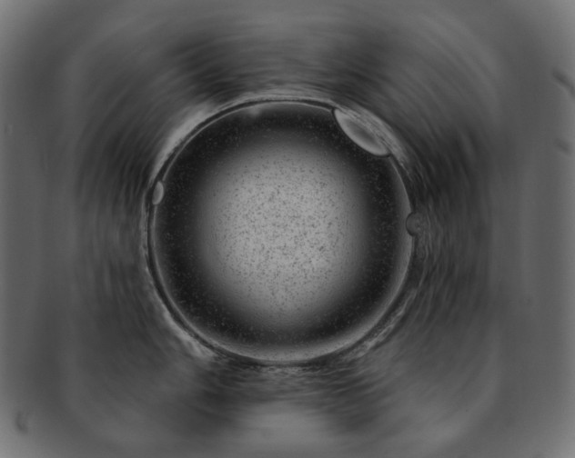 X0000093211006200710031417