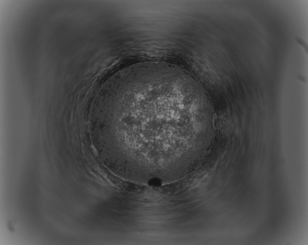 X0000093211009200710031416