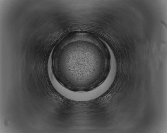 X0000093211010200710031416