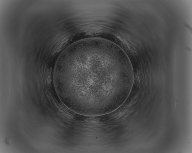 X0000093211012200710031416