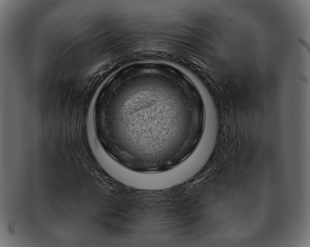 X0000093211014200710031416