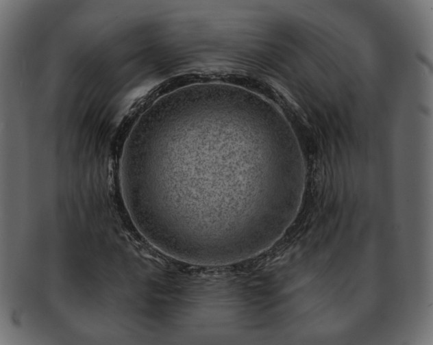 X0000093211016200710031416