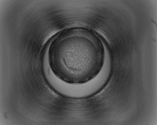 X0000093211018200710031416