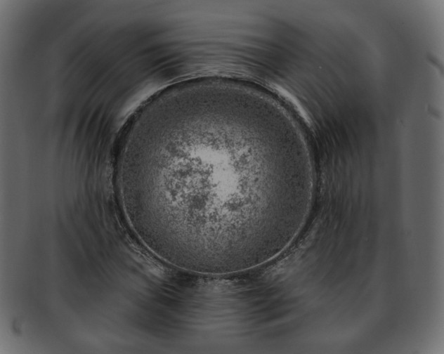 X0000093211019200710031416