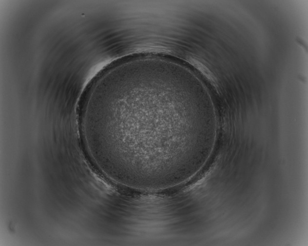 X0000093211022200710031416