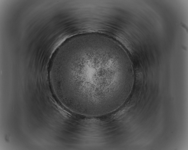 X0000093211023200710031416