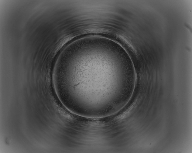 X0000093211025200710031416