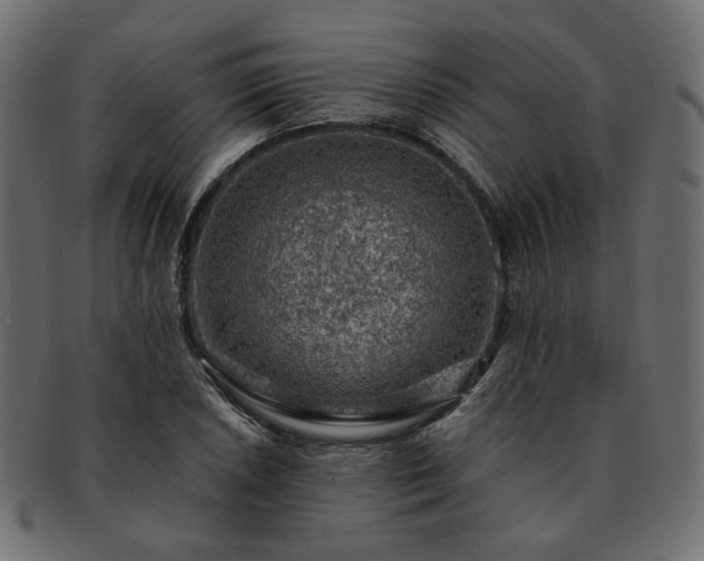 X0000093211026200710031416