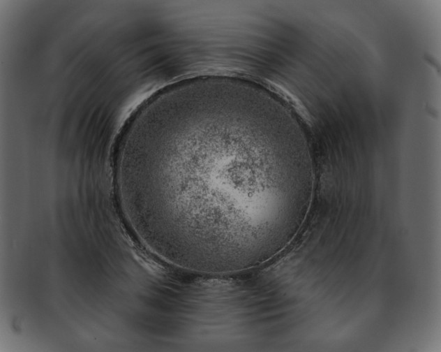 X0000093211027200710031416