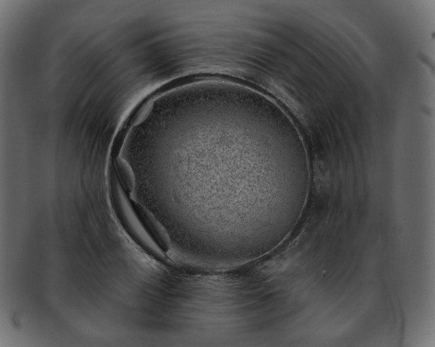 X0000093211028200710031416