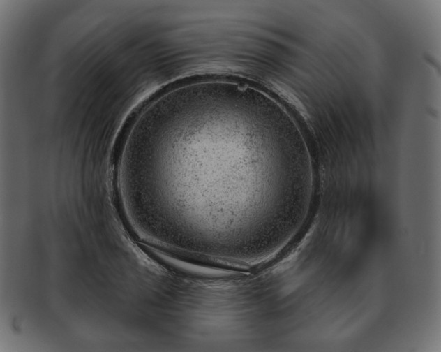 X0000093211029200710031416