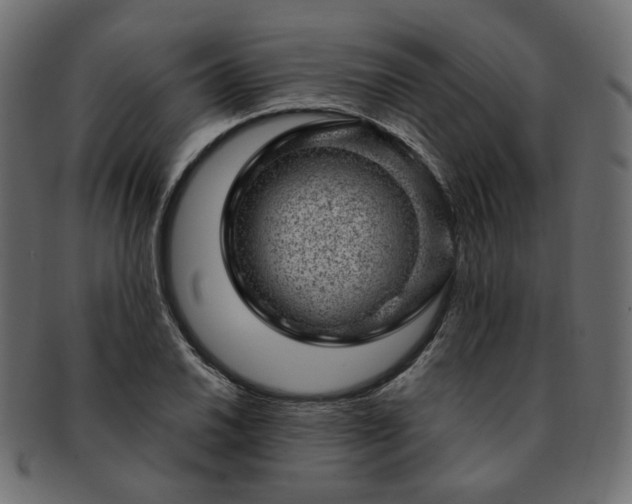 X0000093211030200710031416