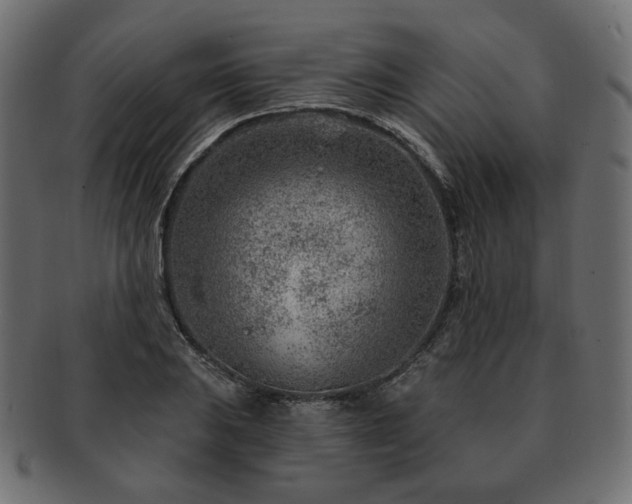 X0000093211031200710031416