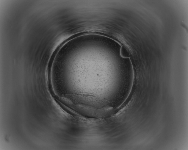 X0000093211032200710031416