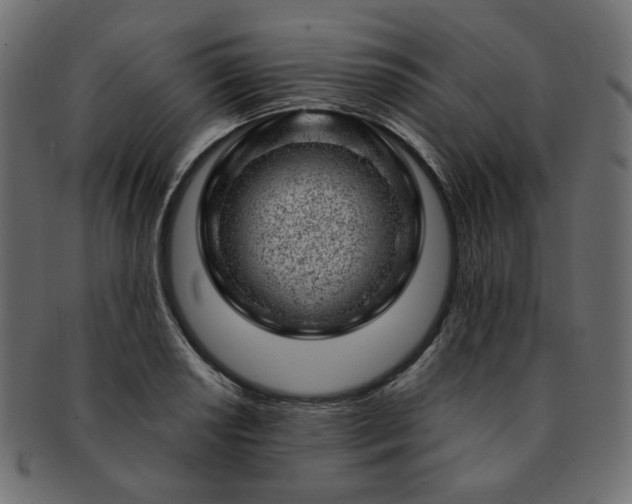 X0000093211034200710031416