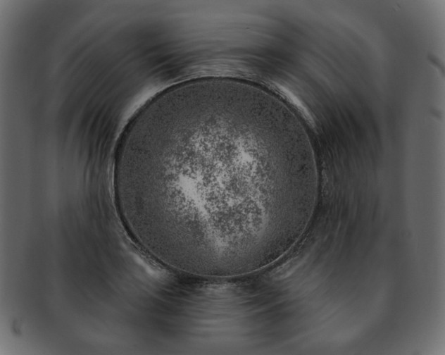 X0000093211035200710031416