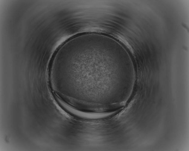 X0000093211037200710031416