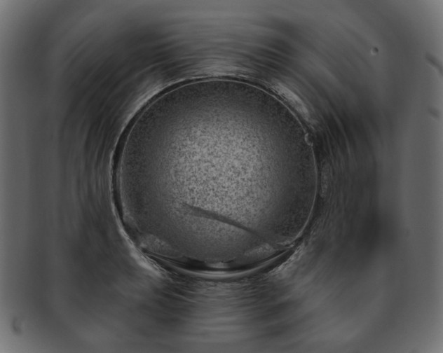 X0000093211039200710031416