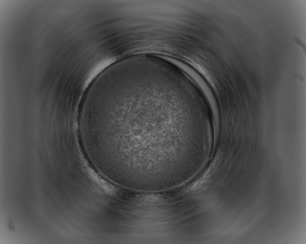 X0000093211042200710031416