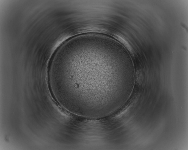 X0000093211043200710031416