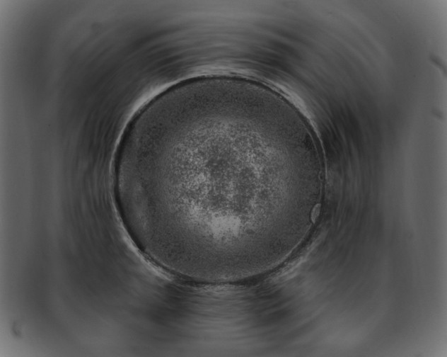 X0000093211045200710031416