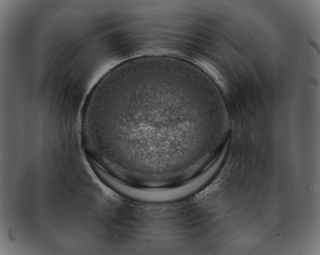 X0000093211046200710031416