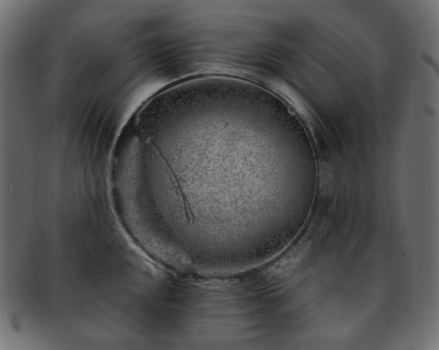 X0000093211048200710031416