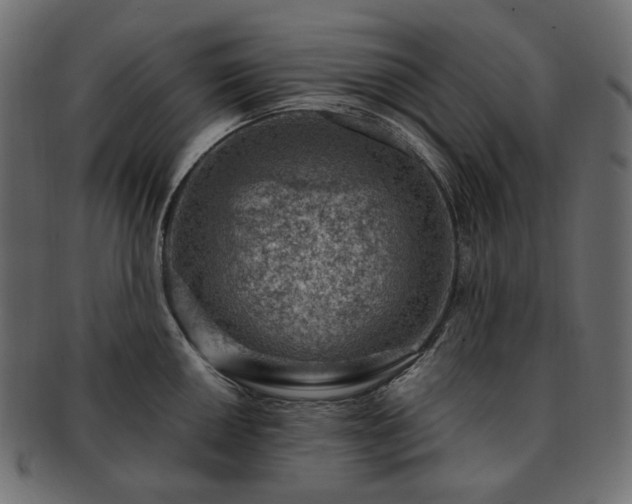 X0000093211050200710031416