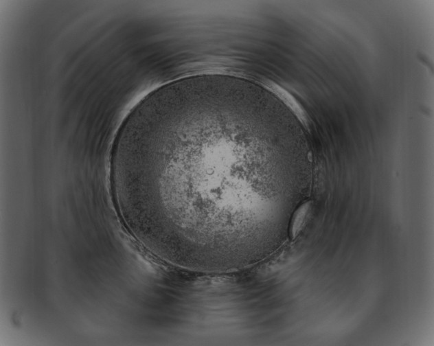 X0000093211051200710031416