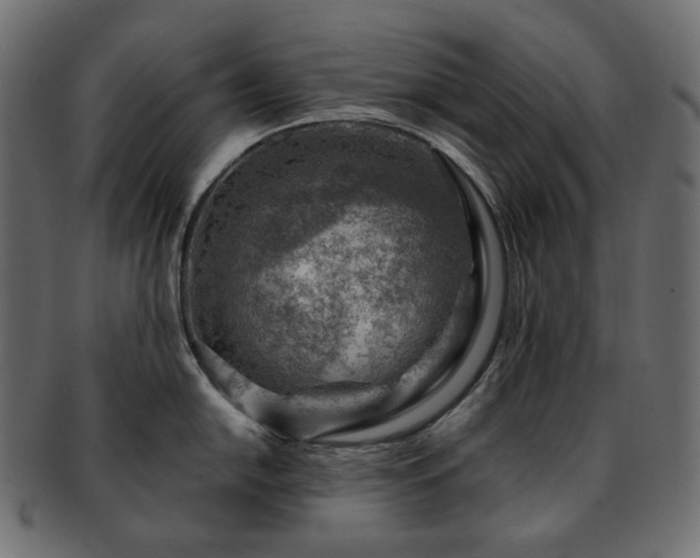 X0000093211054200710031417