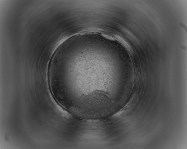 X0000093211055200710031417