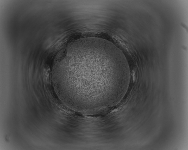 X0000093211059200710031416