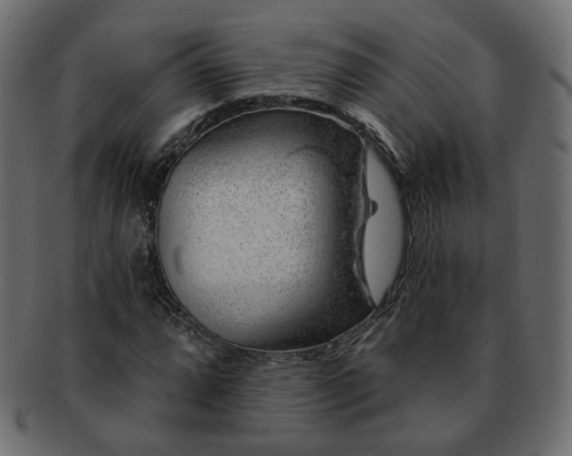 X0000093211064200710031416