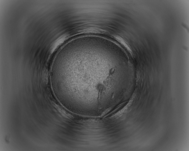 X0000093211067200710031416