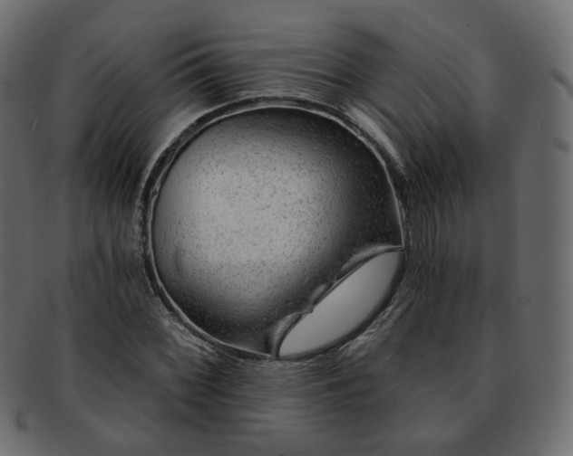 X0000093211068200710031416