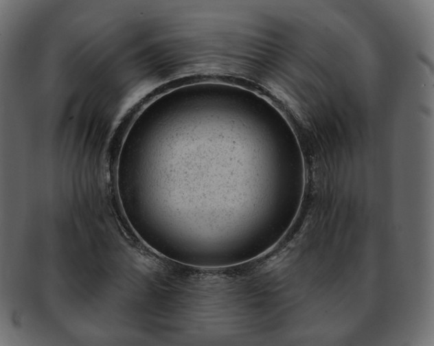 X0000093211070200710031416