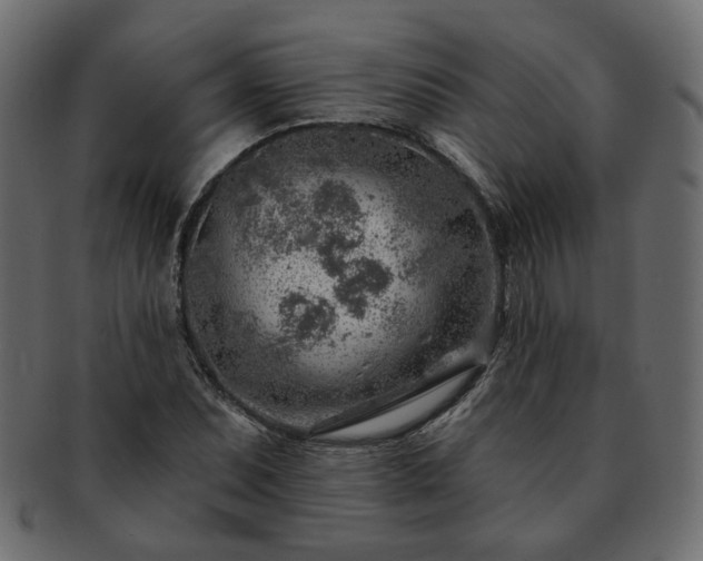 X0000093211071200710031416