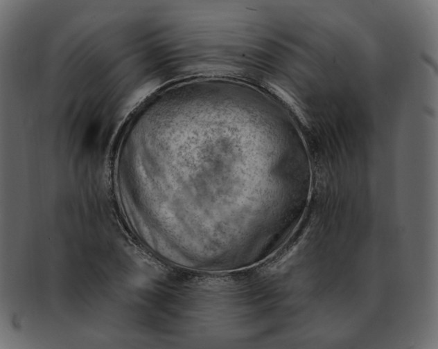 X0000093211074200710031416