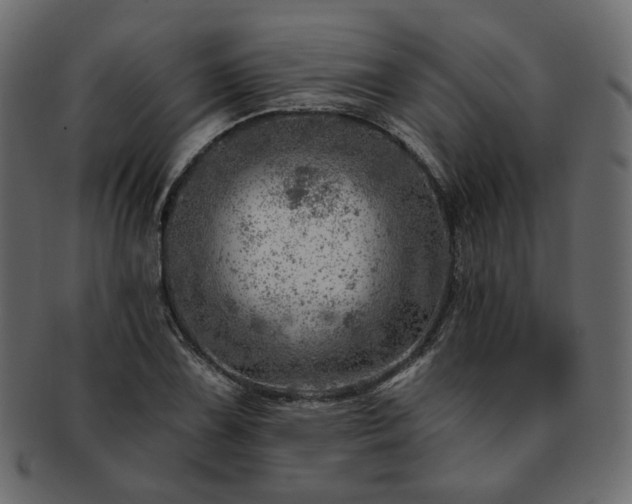 X0000093211075200710031416