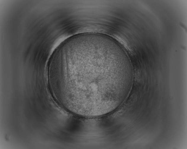 X0000093211078200710031416