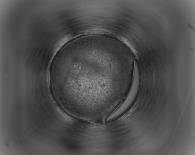 X0000093211083200710031415