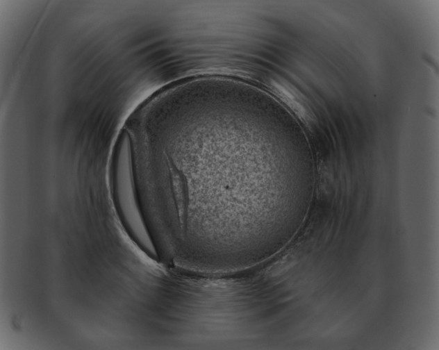 X0000093211084200710031415