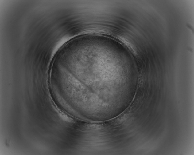 X0000093211086200710031415