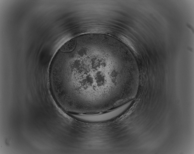 X0000093211087200710031415